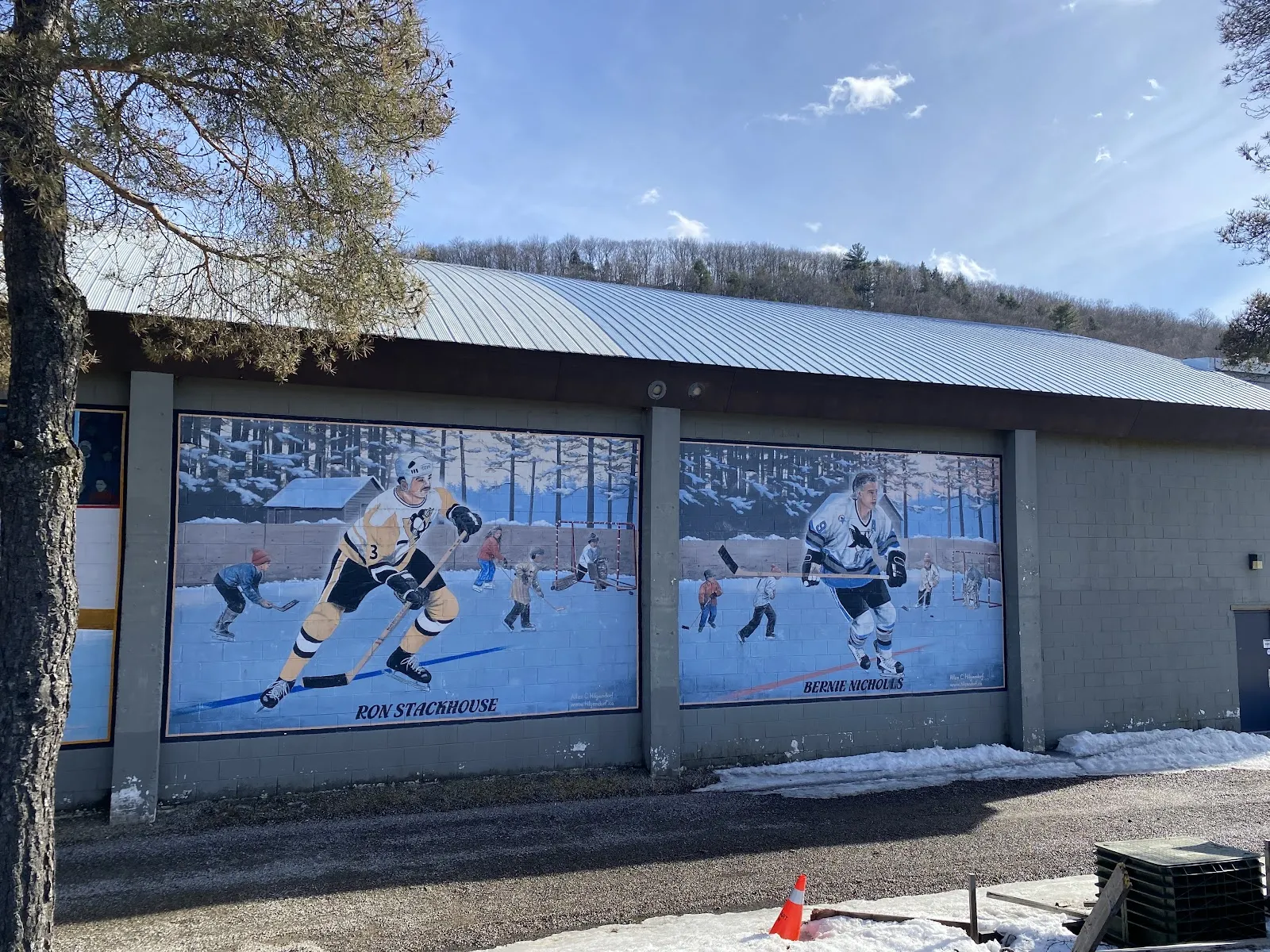 The side of the A.J. LaRue Arena covered in painted hockey murals — A.J. LaRue Arena