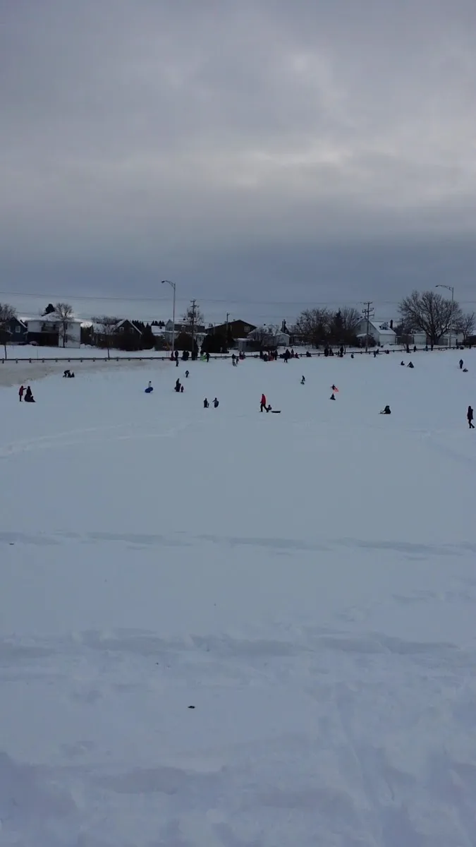 A wide white field of ice at Parc Beauséjour with skaters scattered far across it and trees along the far edge. — Allées glacées du parc Beauséjour