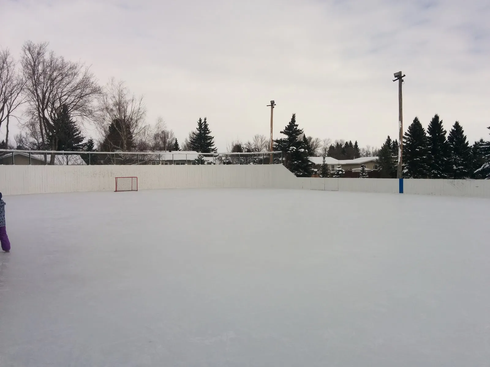 The ice at Alpine Park Outdoor Rink (St. Albert), in a photo from its Google Maps listing. — Alpine Park Outdoor Rink (St. Albert)