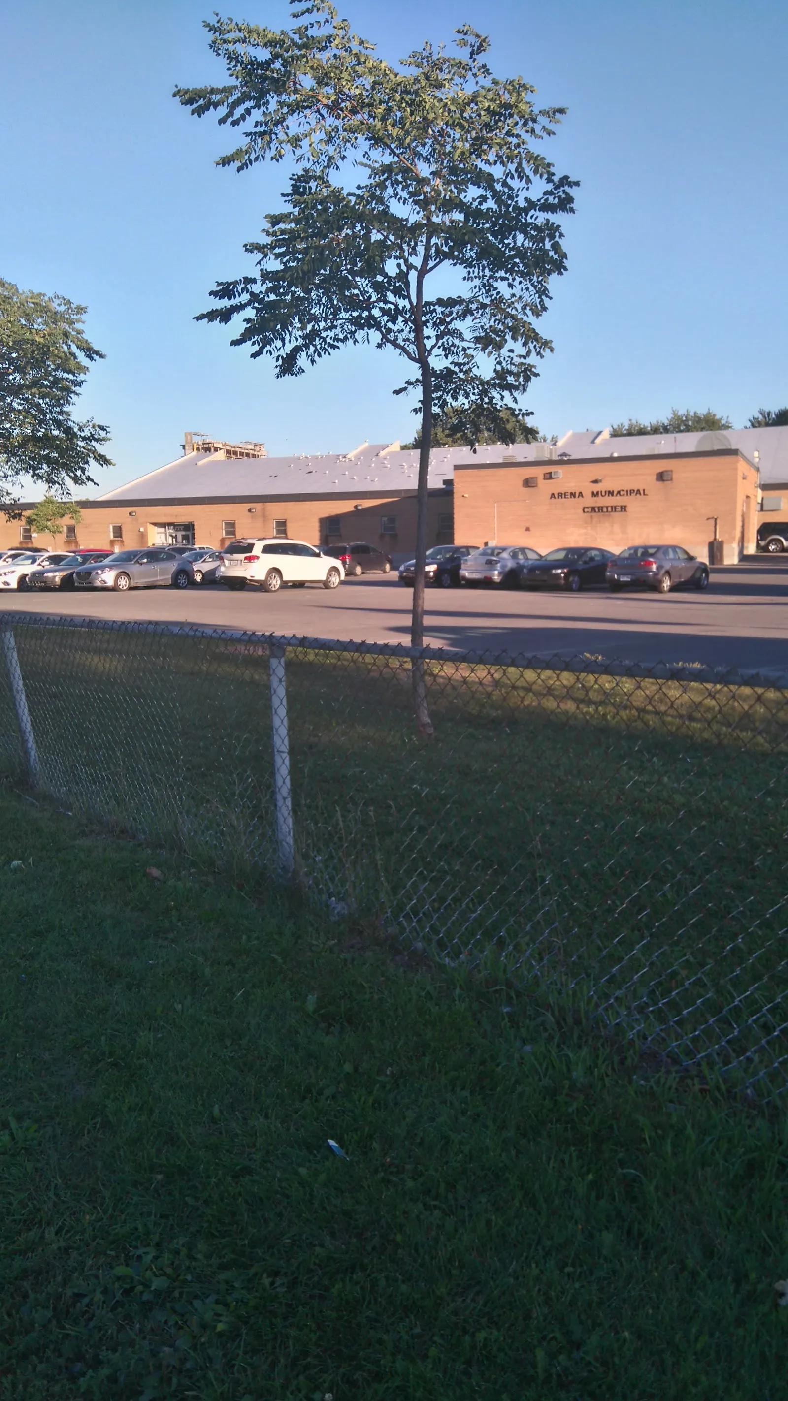The brick Aréna municipal Cartier building with its name on the wall, seen across a chain-link fence and a parking lot beneath a tree on a clear day. — Aréna Cartier (Laval)