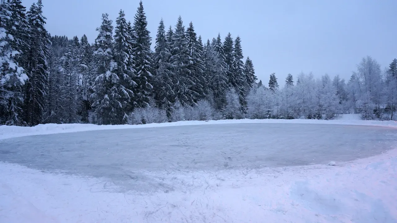 Den oversvømte naturisbanen ved Åsak skole om vinteren, et glatt hvitt oval omkranset av snølastede grantrær under en blå kveldshimmel. — Asak skole skøytebane (Lillestrøm)
