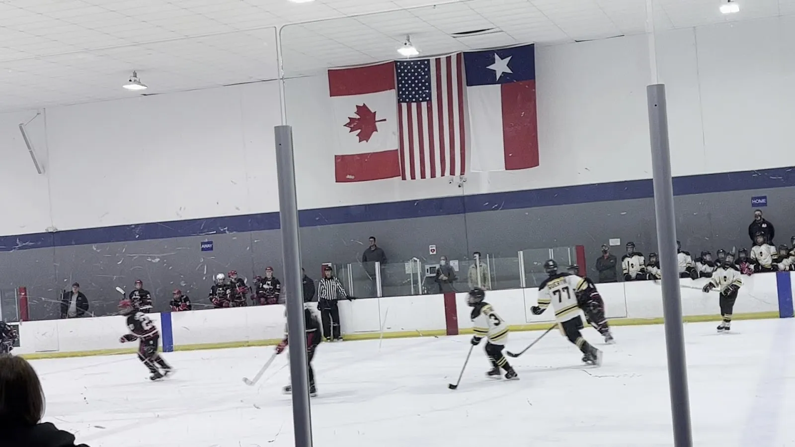 Un partido visto a través del vidrio, con jugadores repartidos por la pista bajo un techo alto con banderas de Estados Unidos y de Texas en la pared del fondo. — Bellerive Ice Center