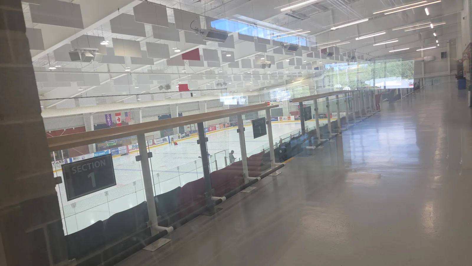 El hielo vacío visto a través del cristal del pasillo superior, con filas de asientos, un letrero de la sección 1 y paneles acústicos blancos colgados bajo el techo. — Benson Centre