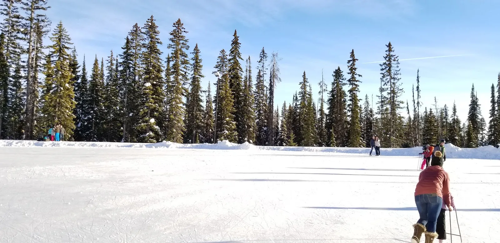 The wide snow-edged Big White outdoor rink in daylight with spruce trees along the far side and a few skaters far off. — Big White Ice Skating Rink