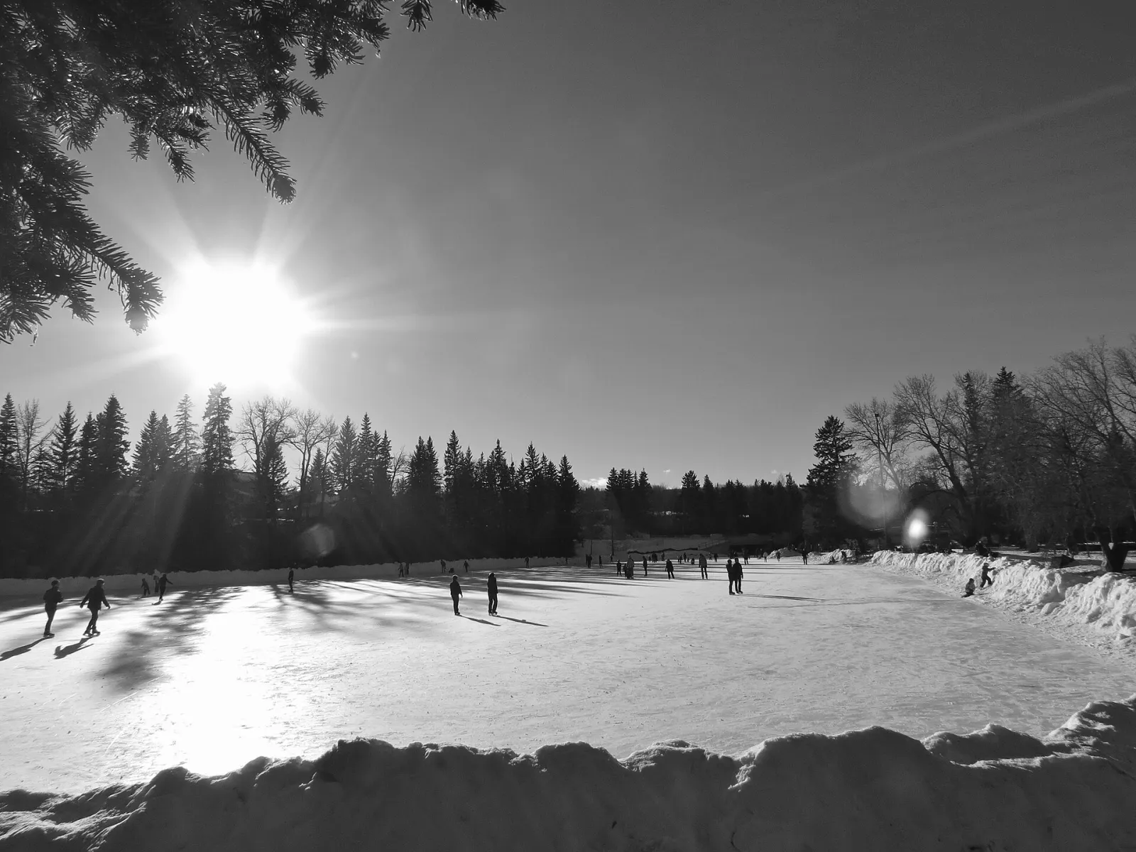 Vista en blanco y negro de la laguna congelada de Bowness Park, con patinadores en el hielo y coníferas al fondo — Bowness Park Outdoor Skating Rink and Ice Trail