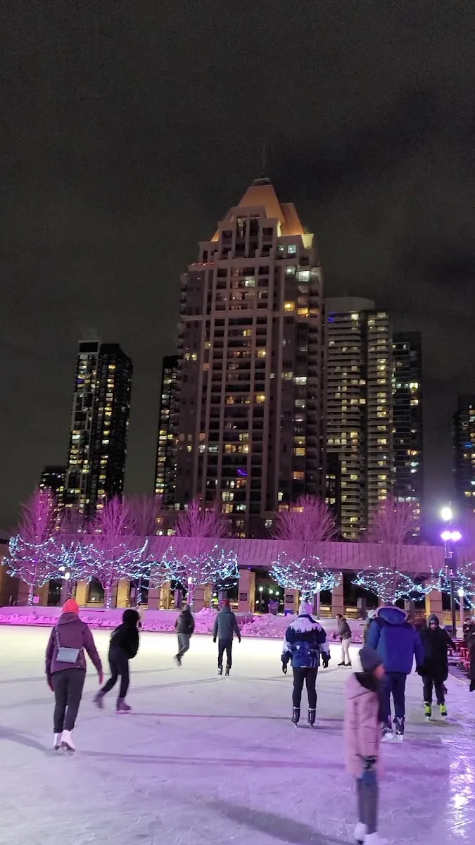 Celebration Square rink at night with strings of lights in the trees and the Mississauga condominium towers behind, only the backs of a few skaters at the edge of the frame — Celebration Square Ice Rink