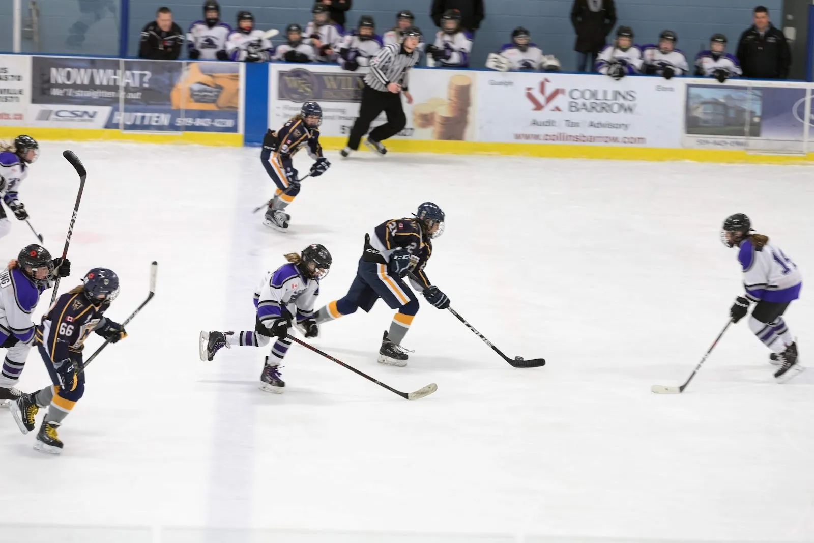 Un partido junto a las vallas cercanas, con jugadores de negro y morado repartidos por el hielo blanco, con anuncios de patrocinadores y una larga pared de banderines detrás. — Centre Wellington Community Sportsplex (Fergus)