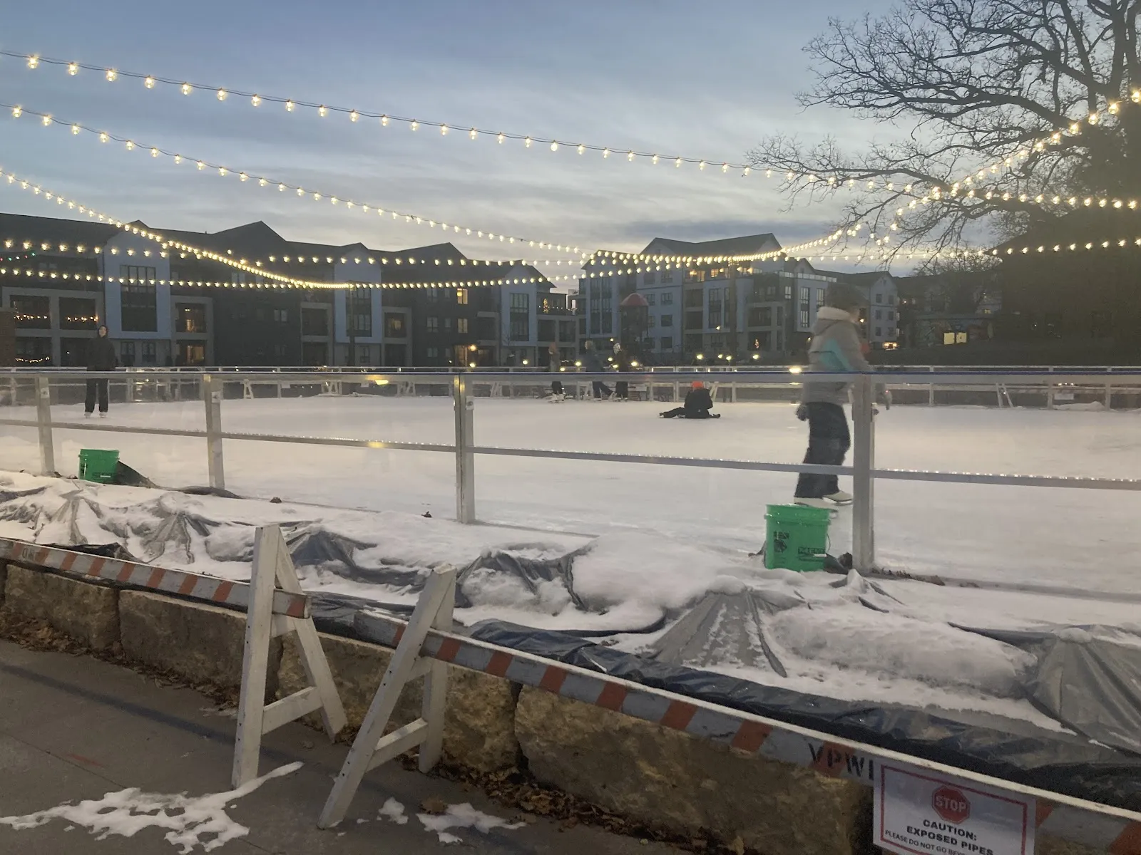 The rink ice in evening light with a skater and string lights overhead, apartment buildings beyond — Century School Park Ice Rink