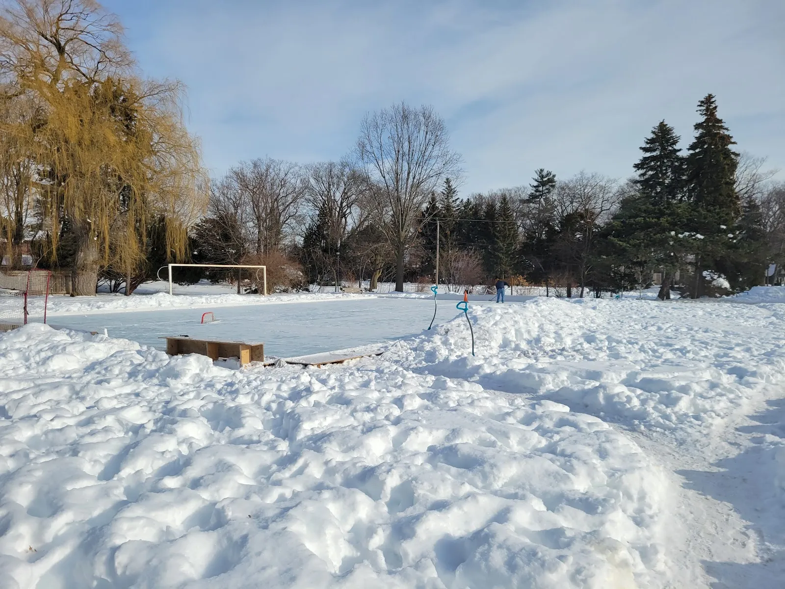 The ice at Cheltenham Park Natural Ice Rink, in a photo from its Google Maps listing. — Cheltenham Park Natural Ice Rink