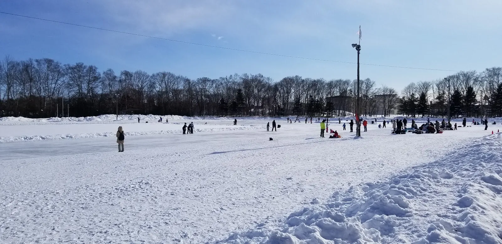 千歳市の青葉公園で、雪に覆われた公園と葉の落ちた木々に囲まれた凍った天然氷のリンク。遠くにスケートをする人たちが見える — Chitose Aozora Park Skate Rink