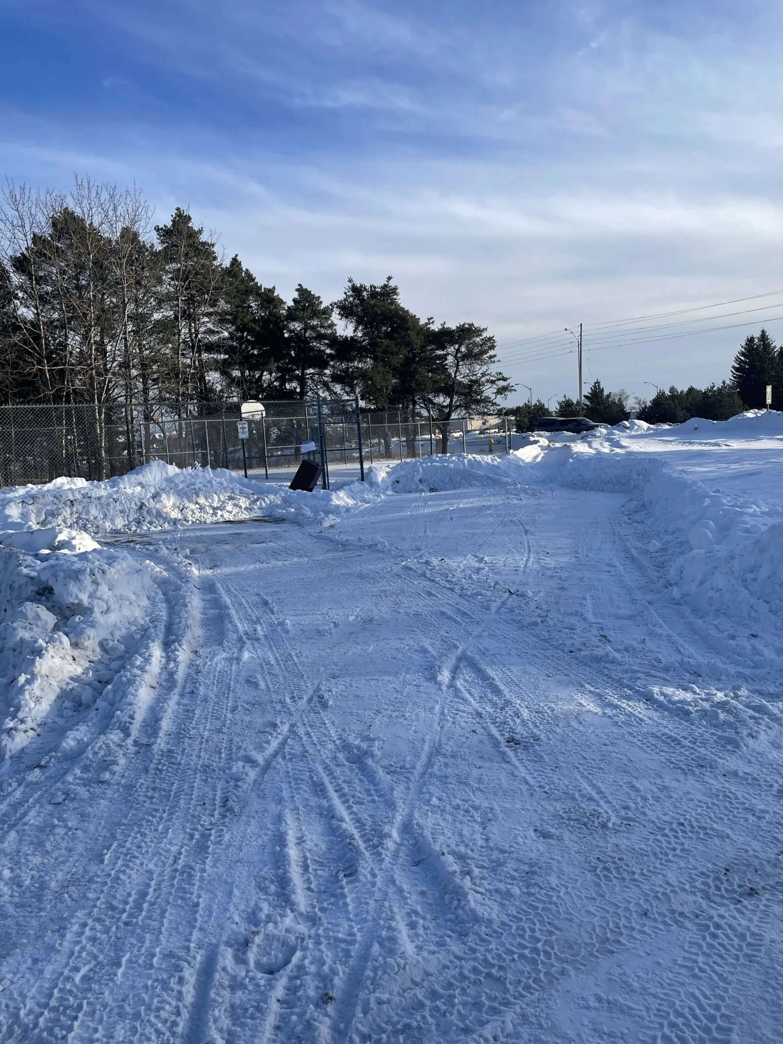 The cleared path to the Confederation Parkette pond — Confederation Parkette Skating Pond