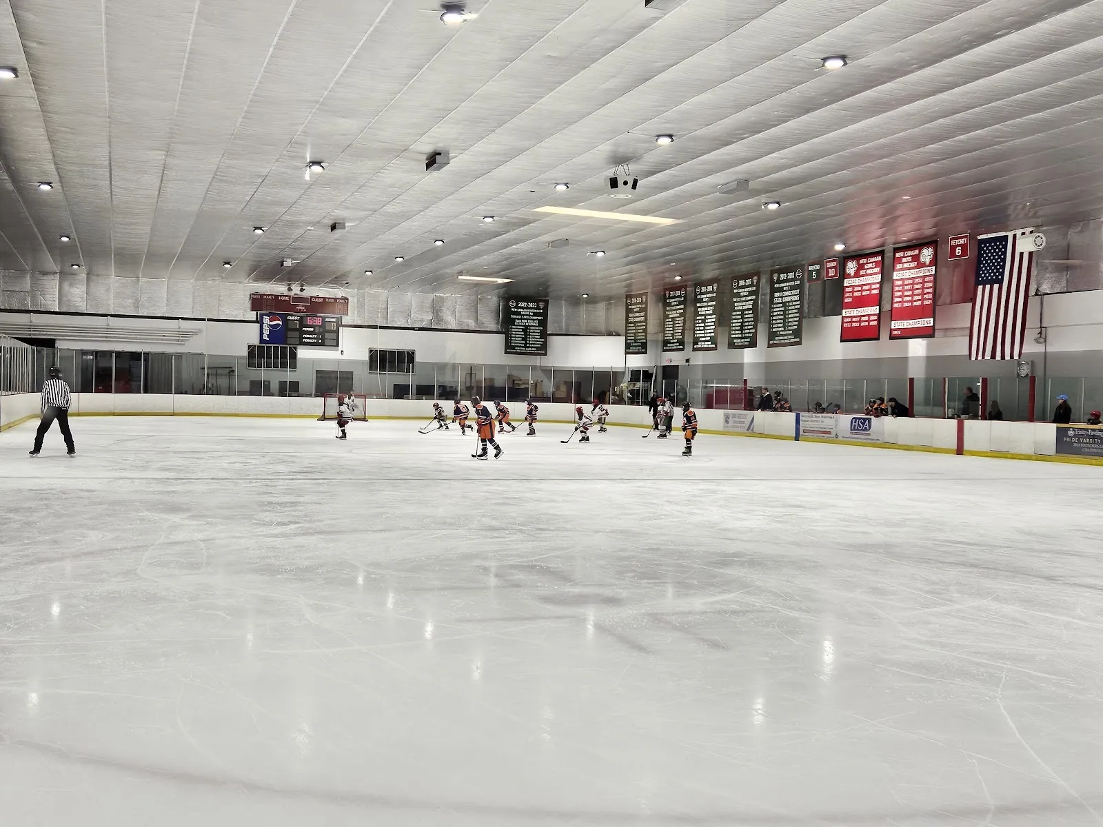 A wide sheet seen from the glass with players spread along the far side, red banners and flags hung along the end wall under a pale ceiling. — Darien Ice House
