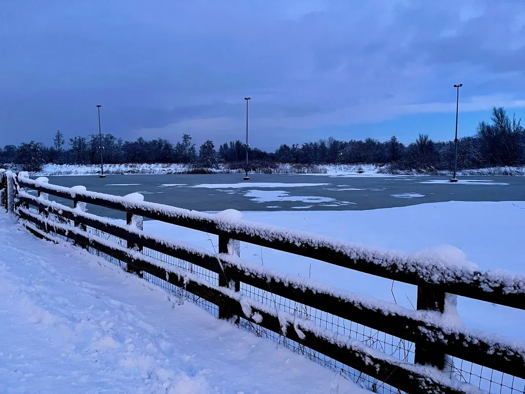 De met sneeuw bedekte natuurijsbaan in Diemen in de schemering, gezien over een houten hek, met lichtmasten en kale bomen langs de overkant. – Natuurijsbaan Diemen (Diemer IJsclub)