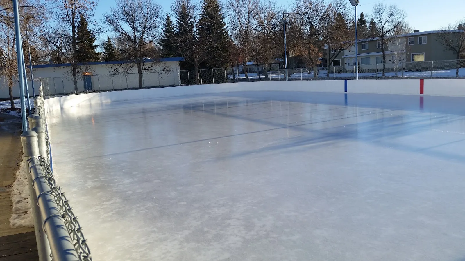 Clear ice and boards at the Dovercourt community rink, with the fence and trees beside it — Dovercourt Community League Rink