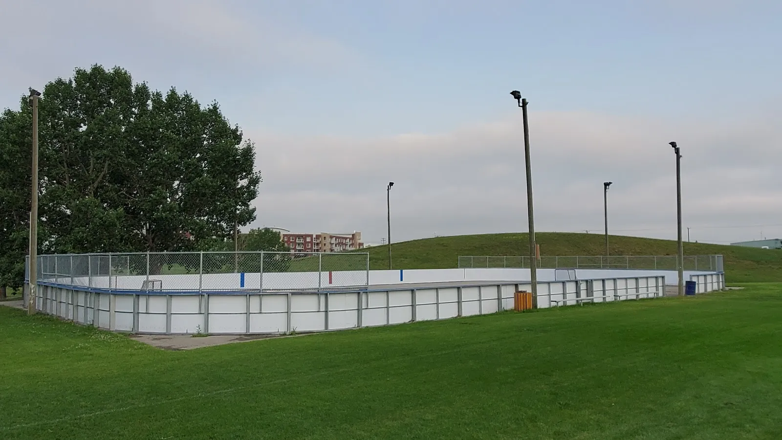 The boarded rink with its fence and floodlight poles on the grass of East Lake Regional Park in summer. — East Lake Regional Park Boarded Rink (Airdrie)