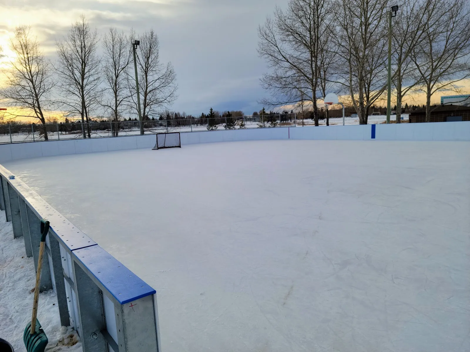 The empty ice of the boarded outdoor rink at East Lake in winter, with the blue-capped boards, a goal at the far end and bare trees behind. — East Lake Regional Park Boarded Rink (Airdrie)