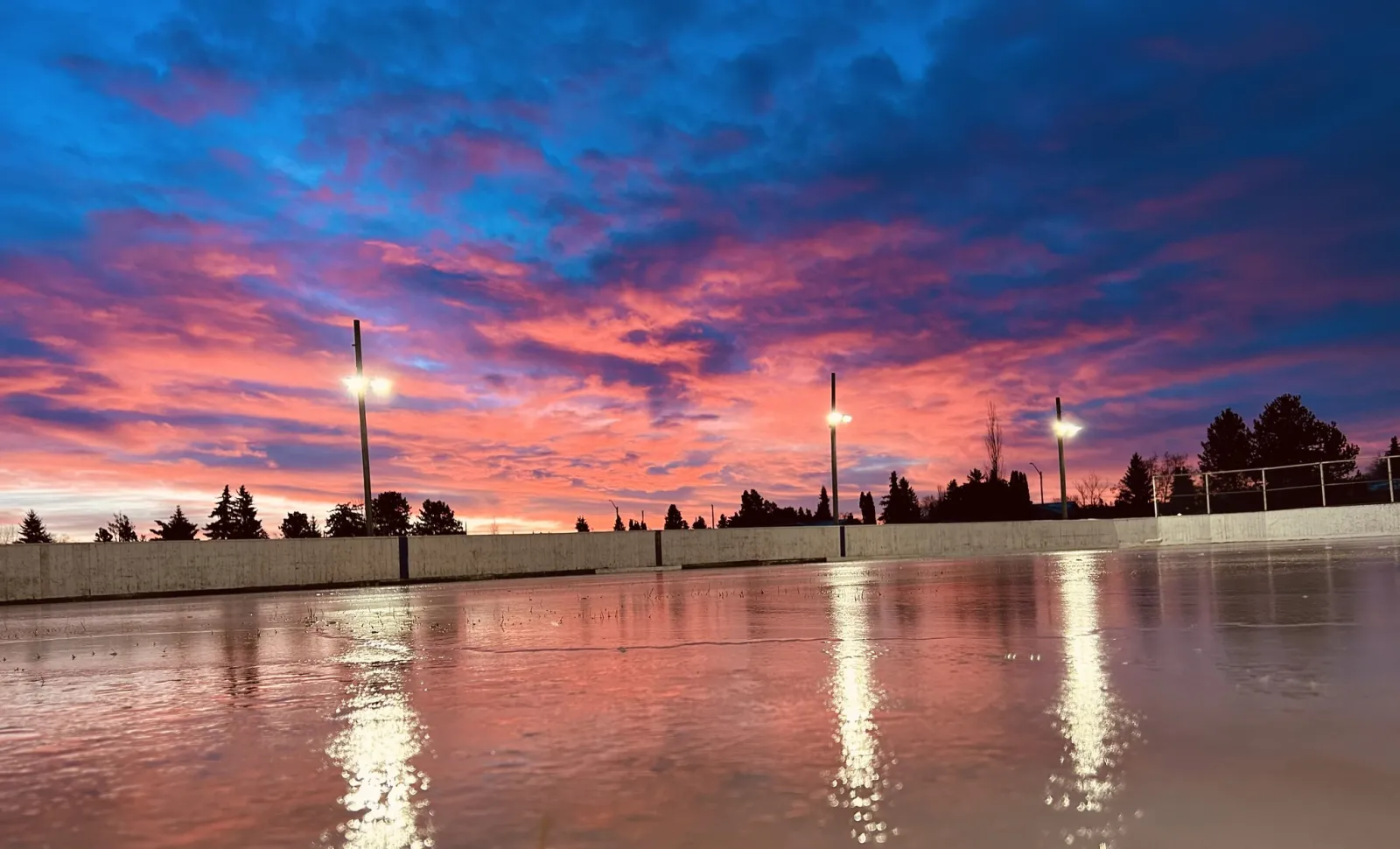 The ice of the Eastglen outdoor skating rink in Westlock at sunrise, with a pink and blue sky reflected on the surface and floodlight poles along the far side. — Eastglen Outdoor Skating Rink (Westlock)