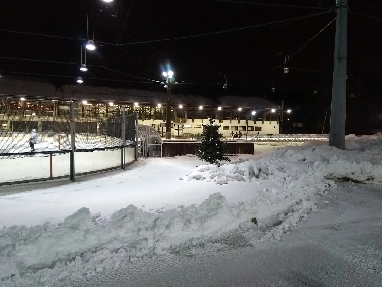 The floodlit outdoor rink and its long stand building at night, with snow banked in the foreground and a small fir tree beside the boards. — Städtisches Eis- und Funsportzentrum Ost