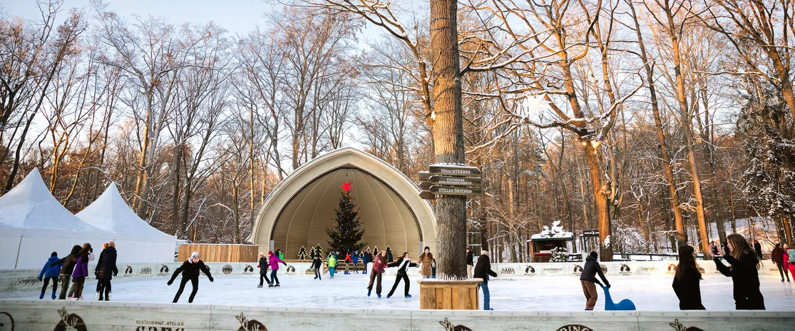 Die Eisbahn im Park am Konzertplatz Weißer Hirsch in Dresden, dahinter die Konzertmuschel und kahle Bäume, einige Läufer in der Ferne – Konzertplatz Weißer Hirsch Eisbahn