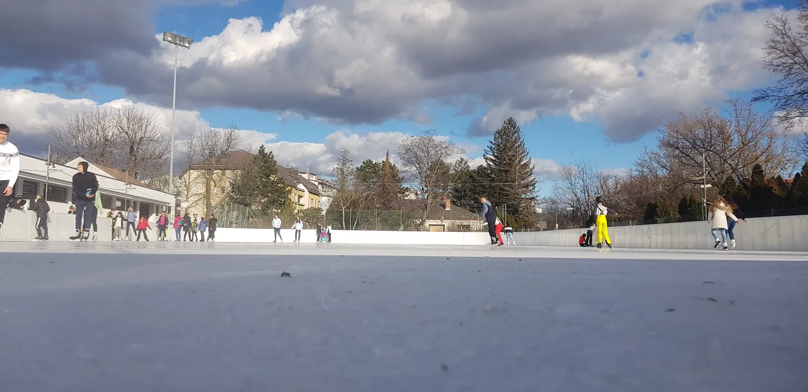 The outdoor rink in daylight, its white ice and boards across the lawn, with a few small skaters in the distance and a row of trees behind. — Eislaufplatz Freizeitzentrum Schwechat