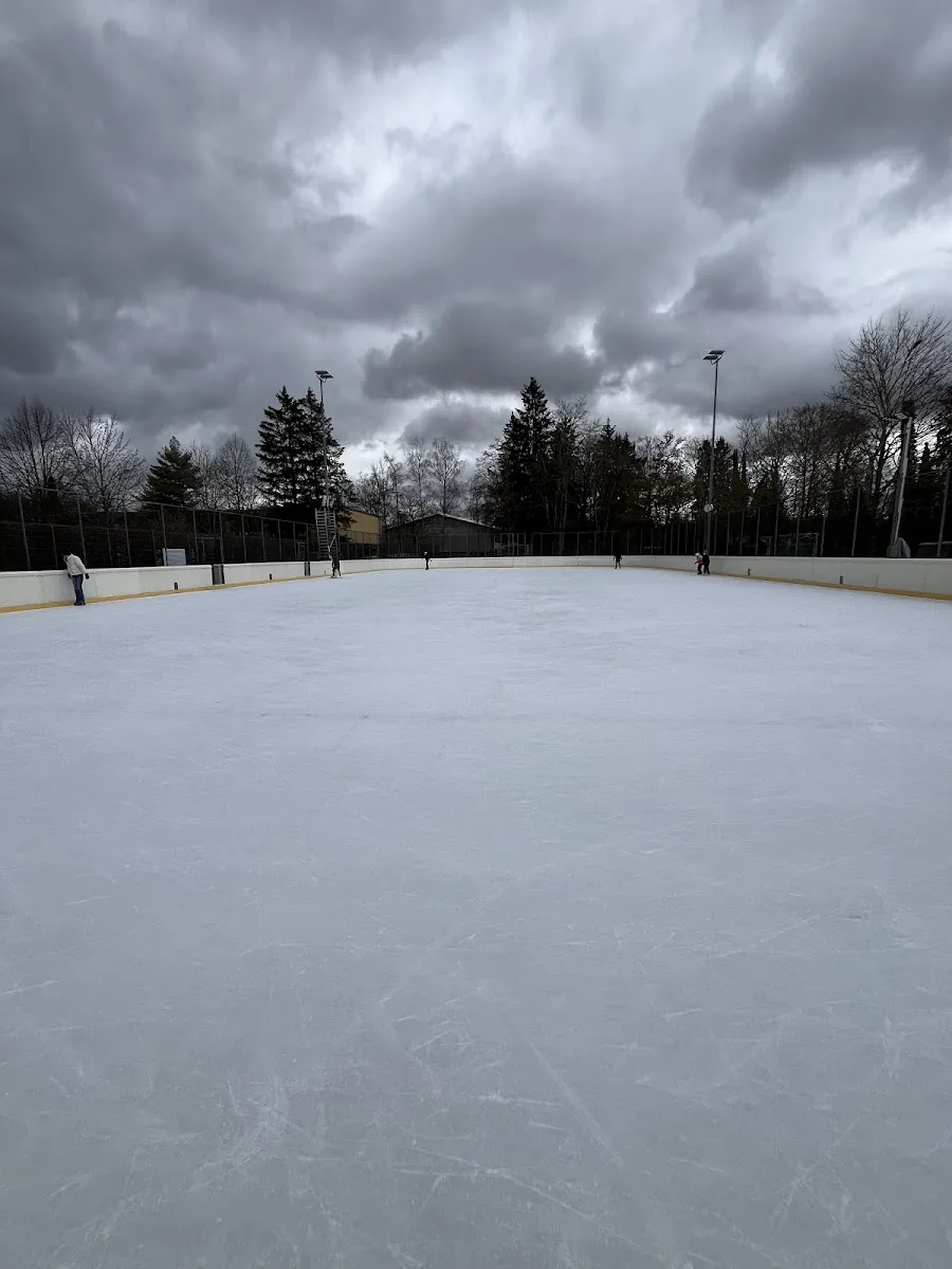 Die weite, leere Freiluft-Eisfläche unter schwerem grauem Himmel, mit niedrigen Banden und kahlen Bäumen und Flutlichtern an der gegenüberliegenden Seite. – Eislaufplatz Grünwalder Freizeitpark