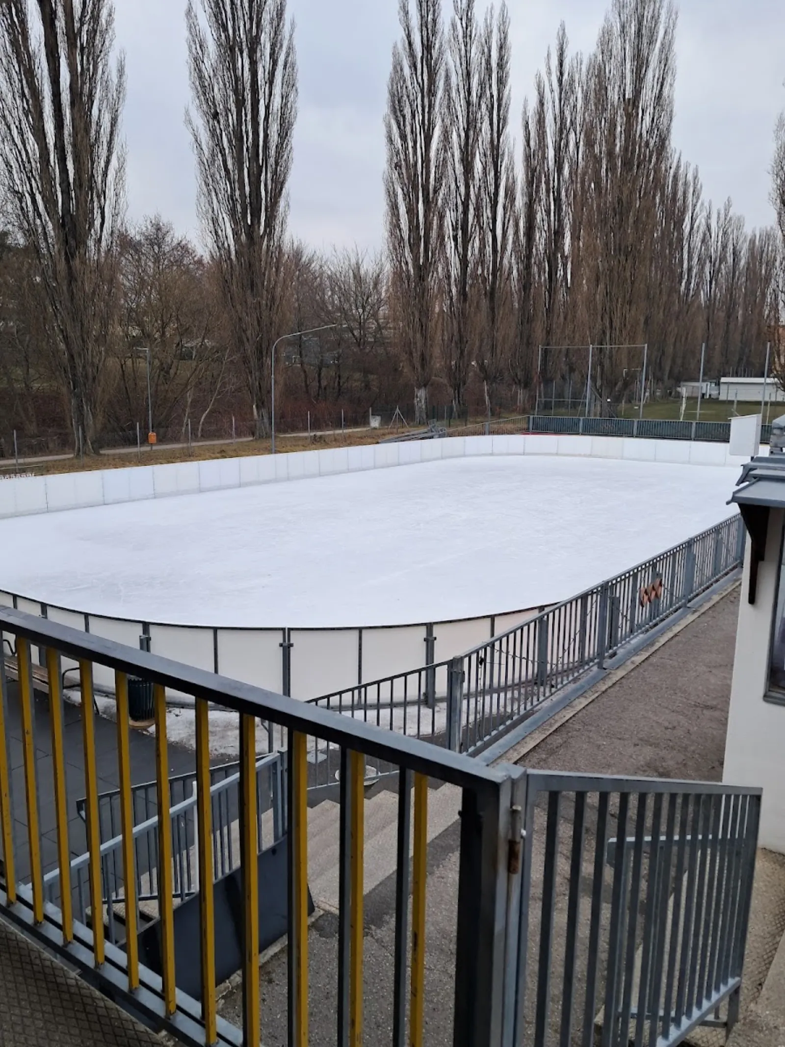 Die leere Freiluft-Eisbahn in Mattersburg von der Seite gesehen, mit Banden, Geländern und der Baumreihe dahinter. – Eislaufplatz Mattersburg