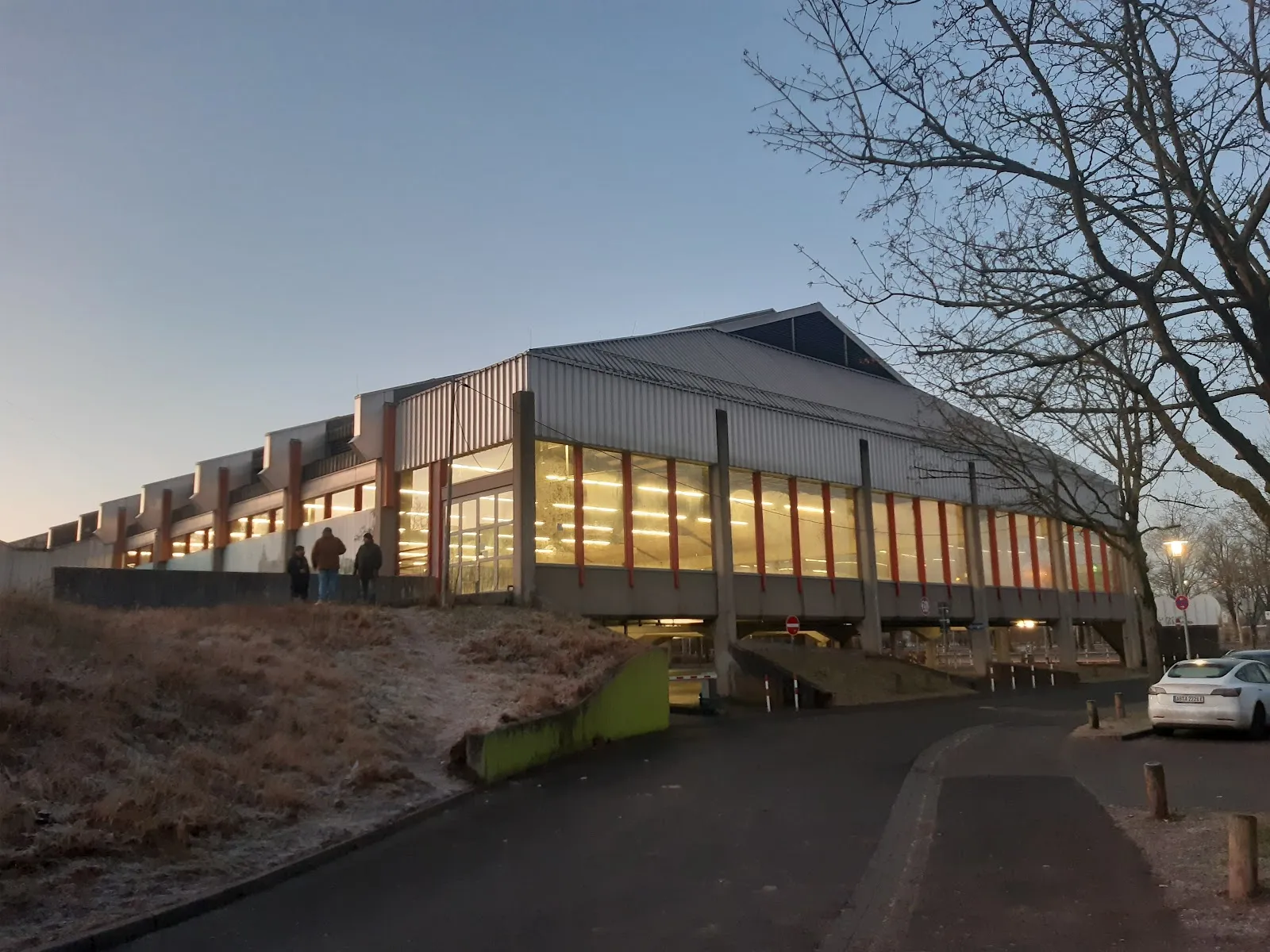 Die lange Halle mit gestuftem Dach und dem beleuchteten Fensterband in der Dämmerung, gesehen von der Zufahrtsstraße, davor kahle Bäume und ein frostiger Hang. – Eissporthalle Aschaffenburg