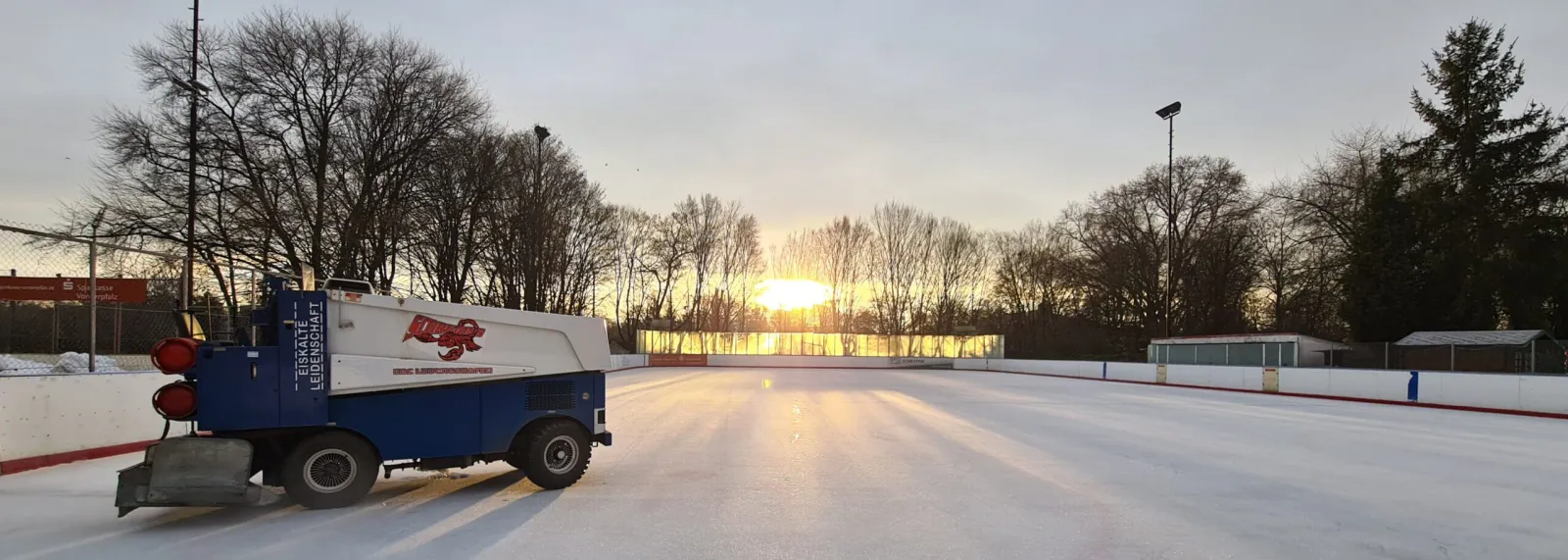 Die Freiluft-Eisfläche bei Sonnenuntergang, mit der Eisbearbeitungsmaschine an der Bande und kahlen Bäumen dahinter. – Eisstadion Ludwigshafen (ERCL)
