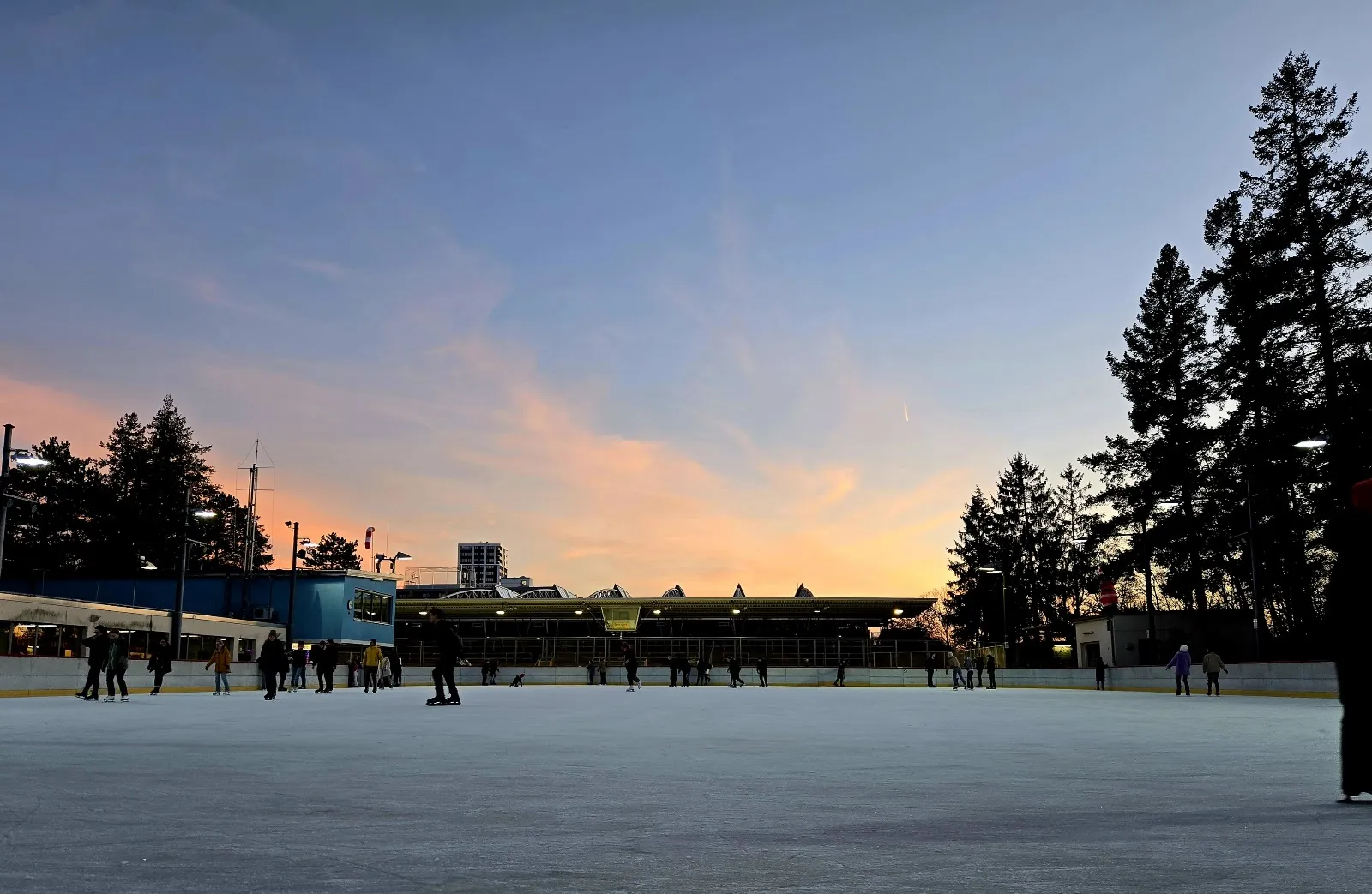 The open-air ice at sunset, a wide flat surface with low boards, skaters in the distance and pines against an orange and blue sky. — Eisstadion Neukölln