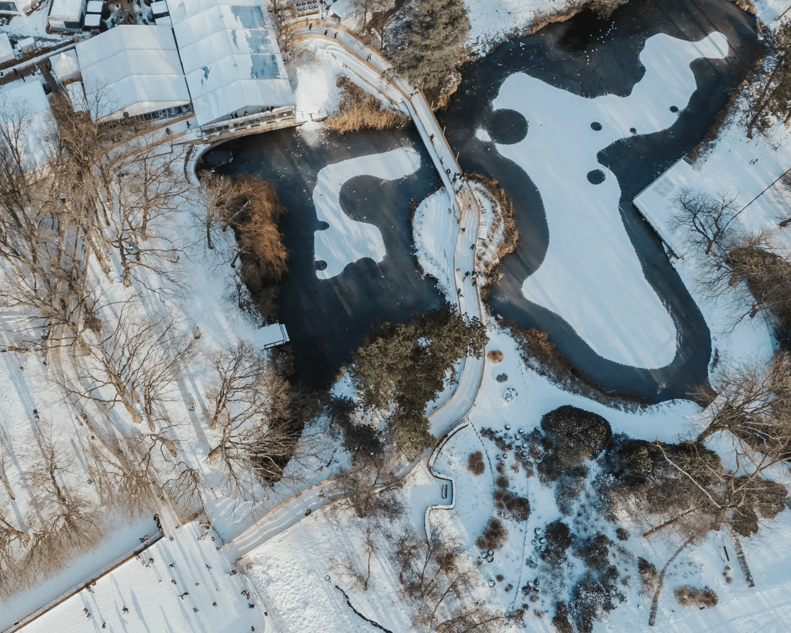 Aerial view of the Kurpark lake where the EISWELT SCHARBEUTZ sets up its skating loop. — EISWELT SCHARBEUTZ