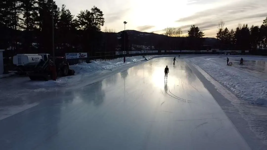 A single skater far along the glossy ice of the Furumo outdoor rink at dusk with pines along the edge. — Furumo kunstisbane