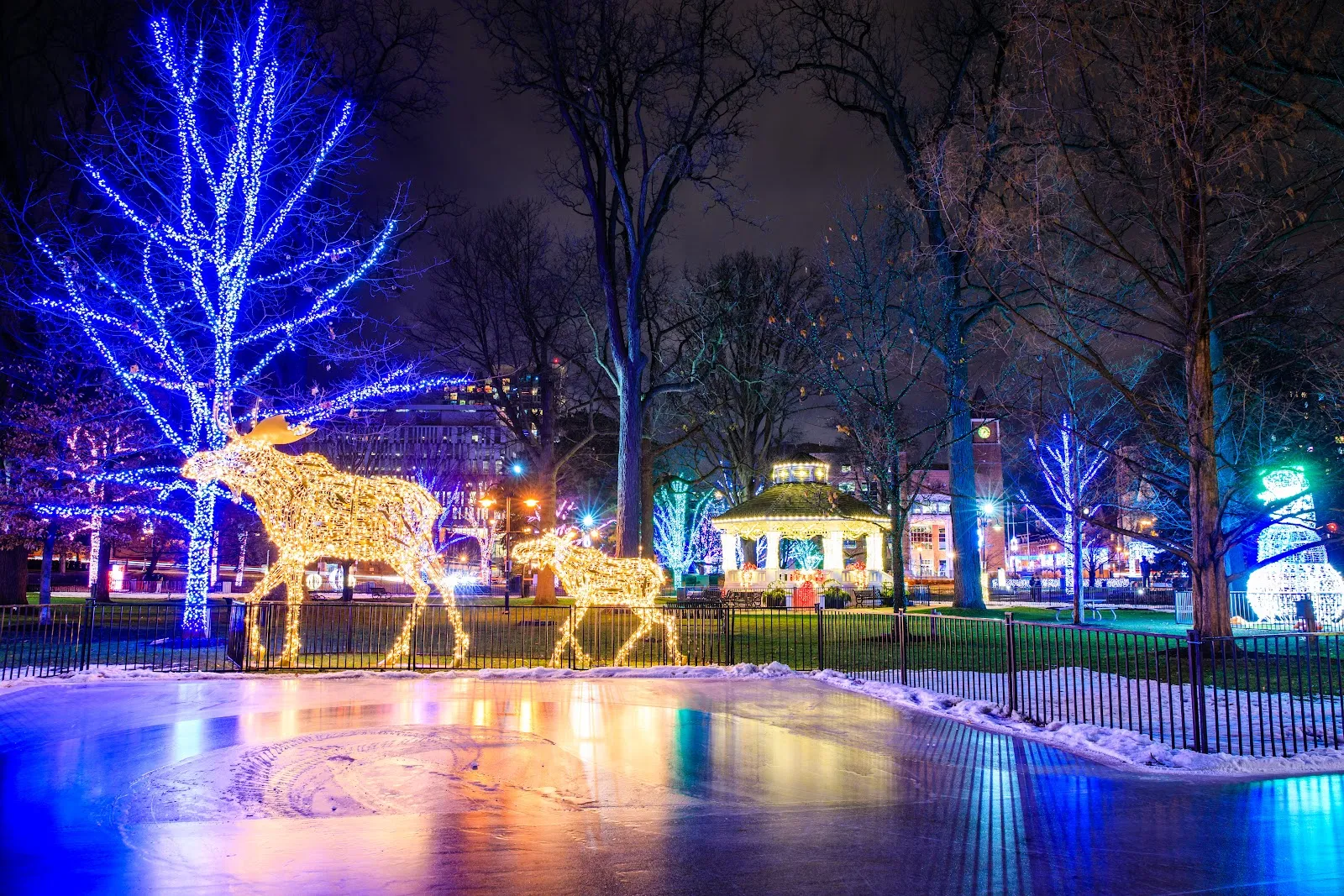 The Gage Park skating trail in downtown Brampton lit by holiday lights at night — Gage Park Skating Trail