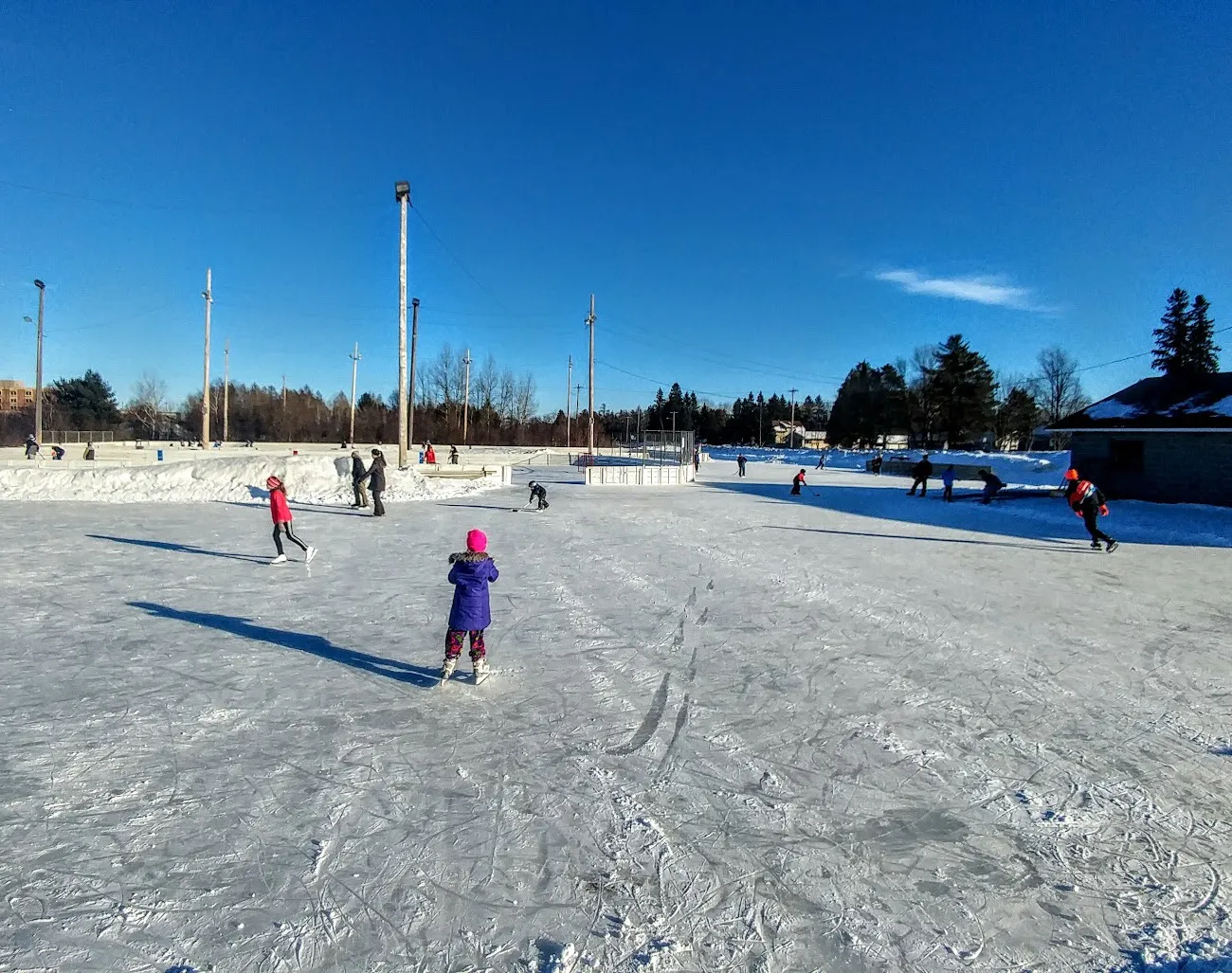 Skaters on the outdoor rink in winter sun, with light poles and a warming house along the far side — Greenhaven Rink