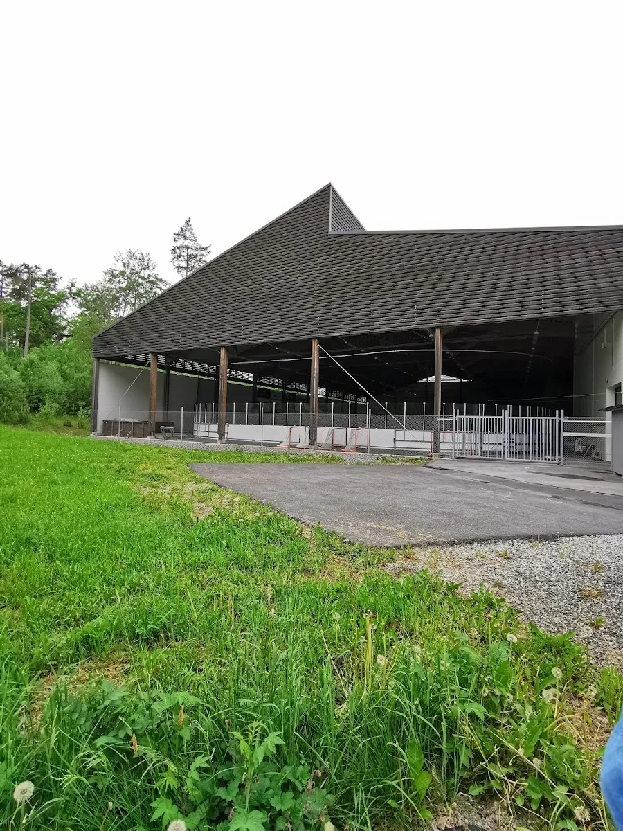 Hammarens ishalls byggnad med tak och öppna sidor sedd över gräset – Hammarens ishall