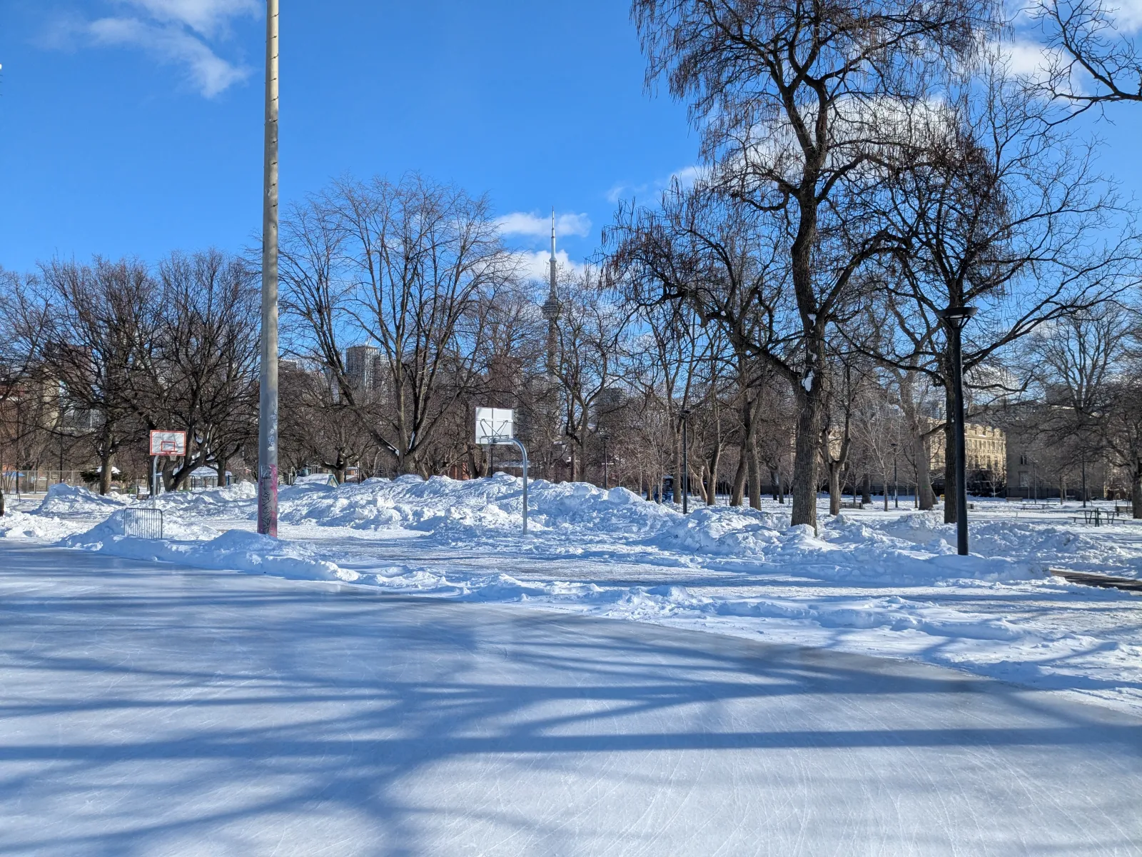 Parte de la superficie de hielo de la pista de Alexandra Park después de una nevada, con la CN Tower y árboles sin hojas al fondo y una cancha de basquetbol cubierta de nieve al lado — Harry R. Gairey Ice Rink (Alexandra Park)