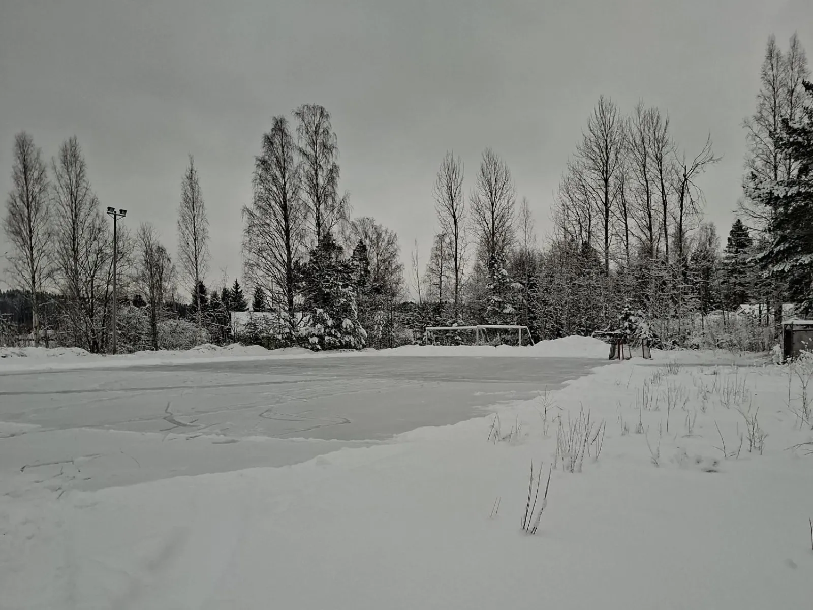 A snow-covered skating field at Hirvilahti with floodlight poles, a goal and birch trees behind it. — Hirvilahden luistelukenttä