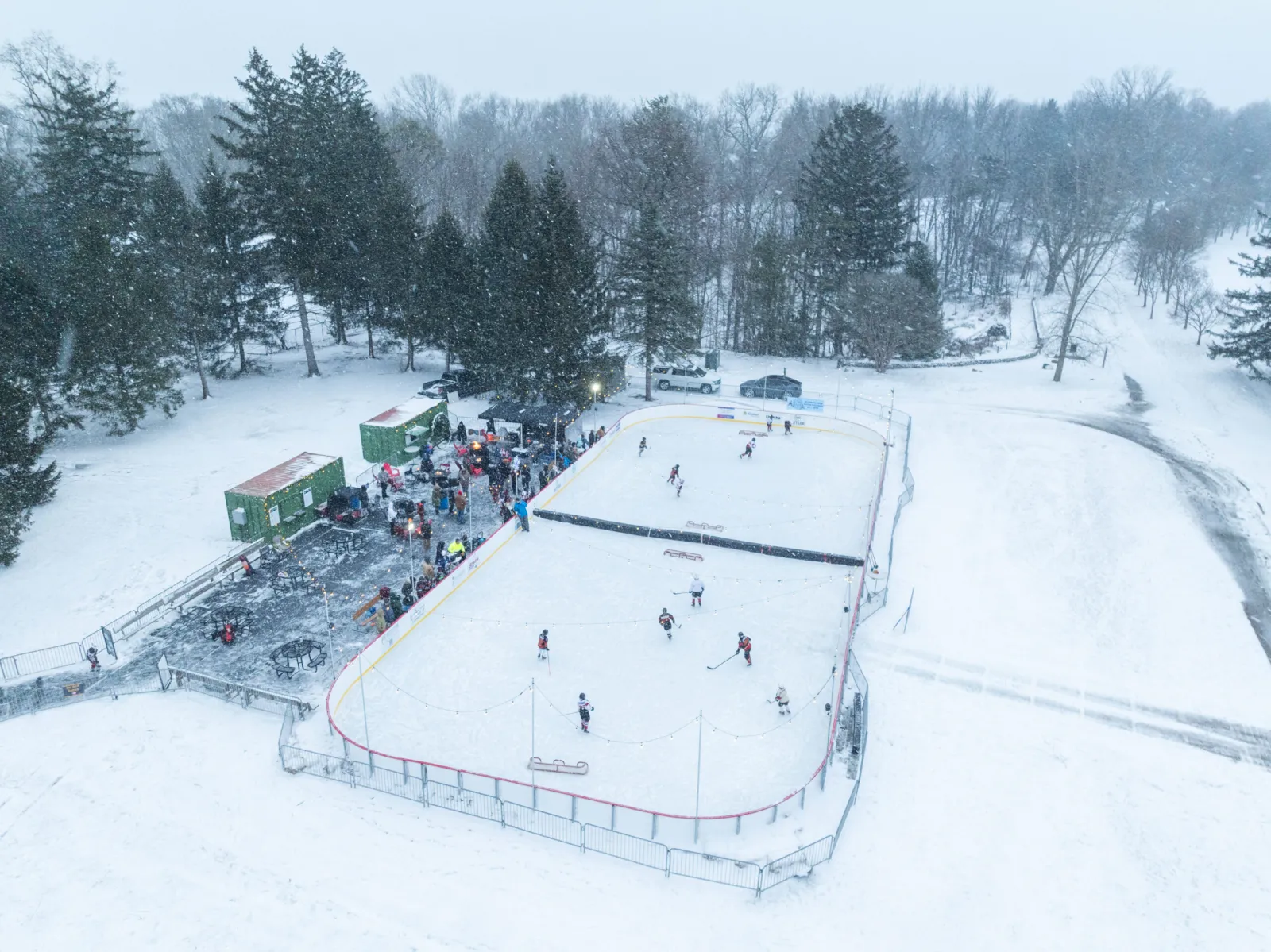La pista desde arriba durante una nevada, rodeada de coníferas en el parque, con patinadores y público a un costado de la pista. — The Ice Rink at Holliday Park