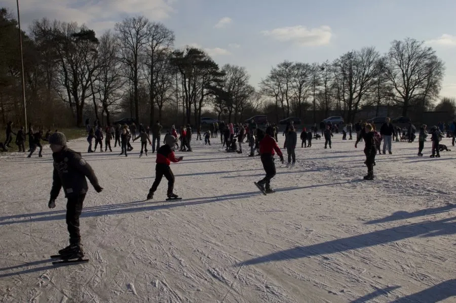 Skaters spread across the frozen rink at Enter in low winter sun, with bare trees and a lamp post along the far edge. — IJsbaan Enter (IJsclub De Lee)