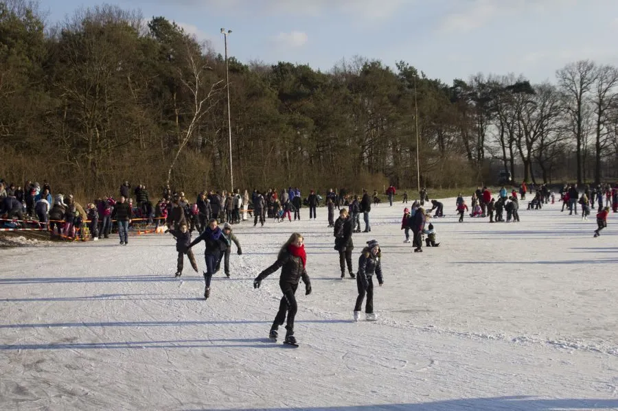 A crowd of skaters of all ages across the wide open ice at Enter, with a pine-covered bank and a row of floodlight masts behind the rink. — IJsbaan Enter (IJsclub De Lee)