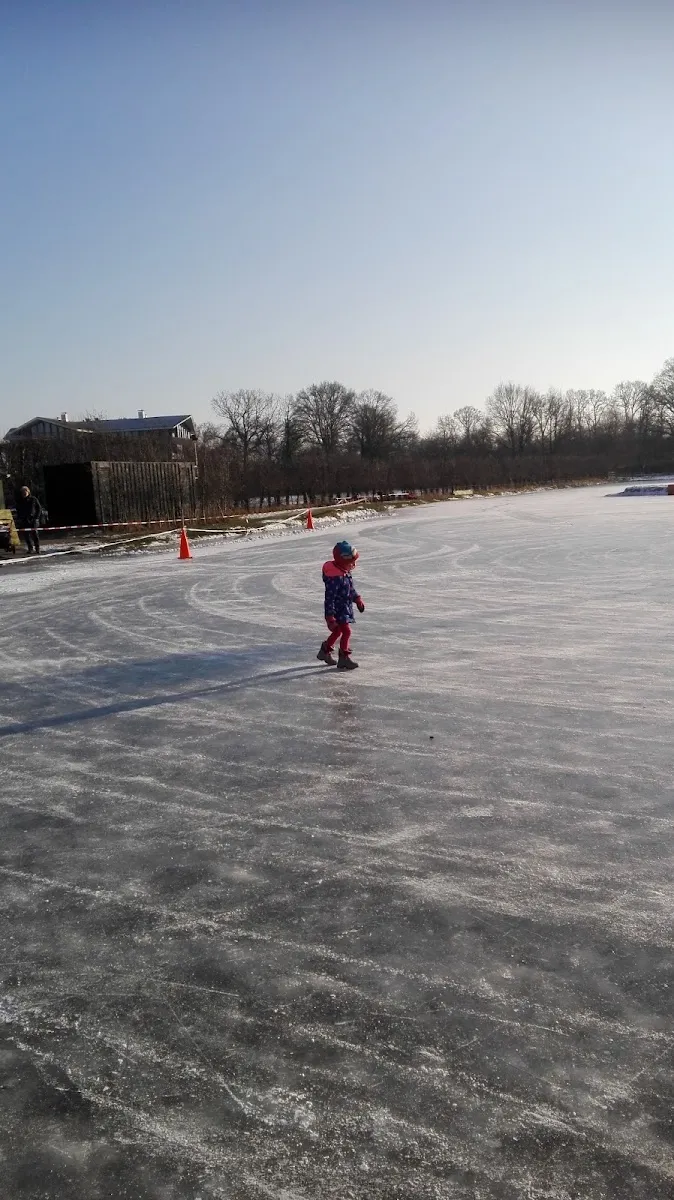A skater in the distance on the natural ice of the IJsbaan in Vorden, with the roped-off edge, trees and village buildings behind – IJsbaan Vorden