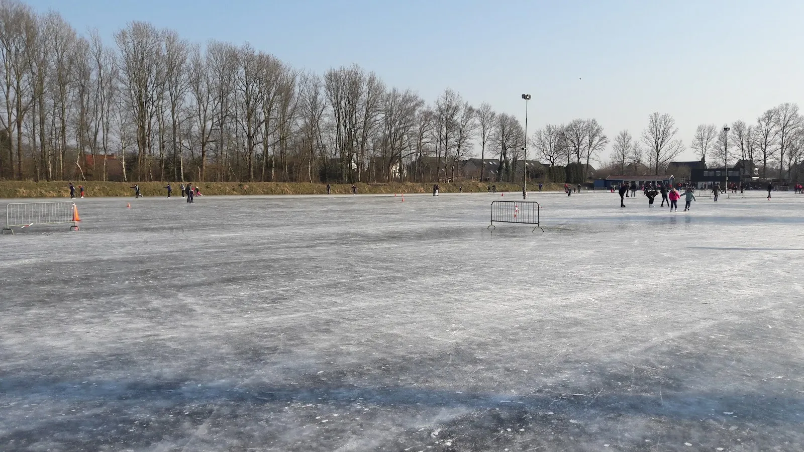 Skaters in the distance on the frozen natural-ice rink at Zuidbroek, with a row of bare trees and a floodlight mast along the far edge. — IJsbaan Zuidbroek