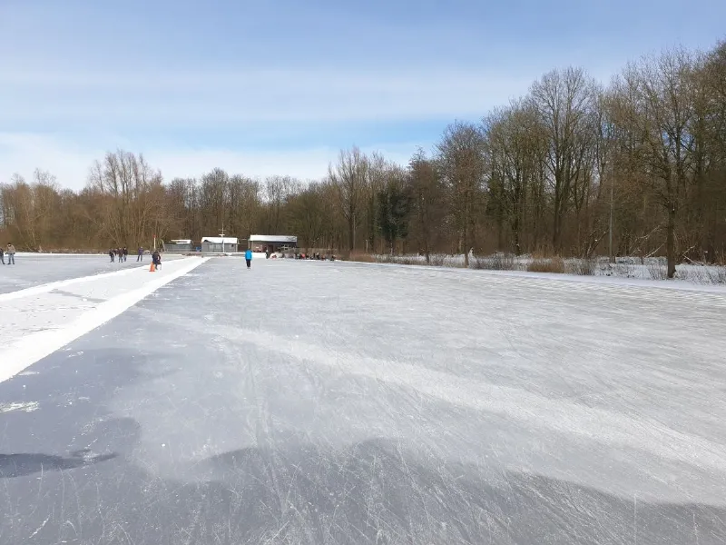 De natuurijsbaan in het bos van Biddinghuizen onder een blauwe lucht, met een glad grijs ijsoppervlak, een geveegde baan, een paar schaatsers en op de achtergrond het clubgebouw tussen de kale bomen. – IJsbaan Biddinghuizen (IJsclub Biddinghuizen)