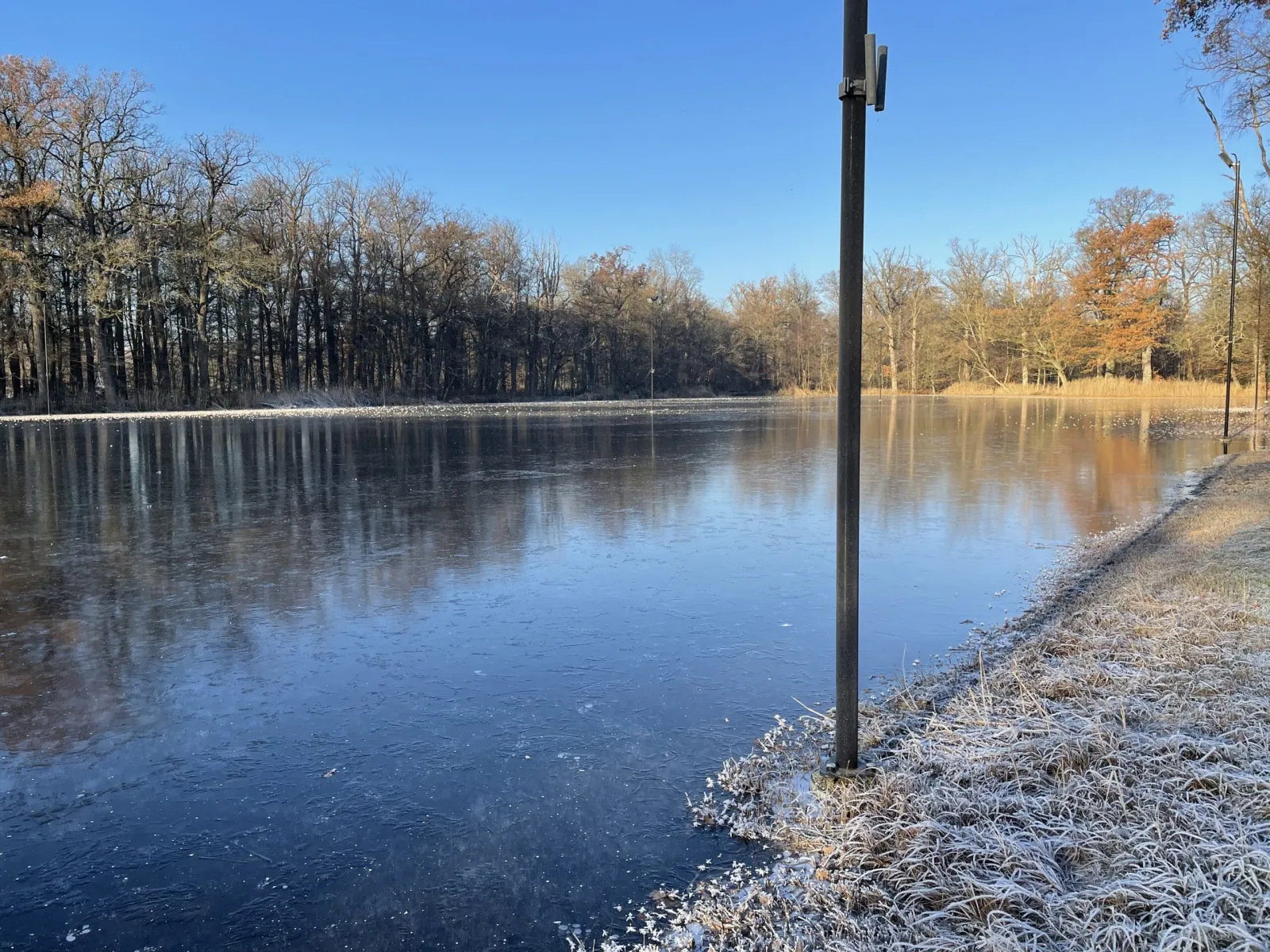 Heldere bevroren baan in het Twickelse Bos naast een lichtmast, met kale winterbomen weerspiegeld in het ijs. – IJsclub Delden