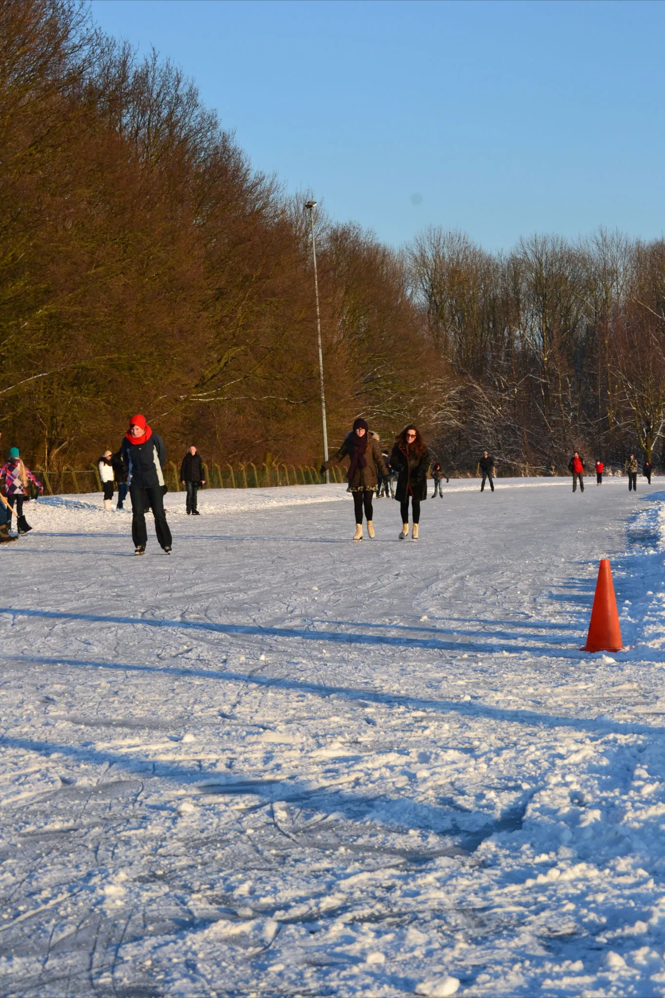 Skaters walking and gliding along the swept, snow-dusted natural ice at Dronten on a sunny winter day, with an orange cone on the ice and tall trees and a lamp post along the bank. — IJsbaan Dronten (IJsclub Dronten)
