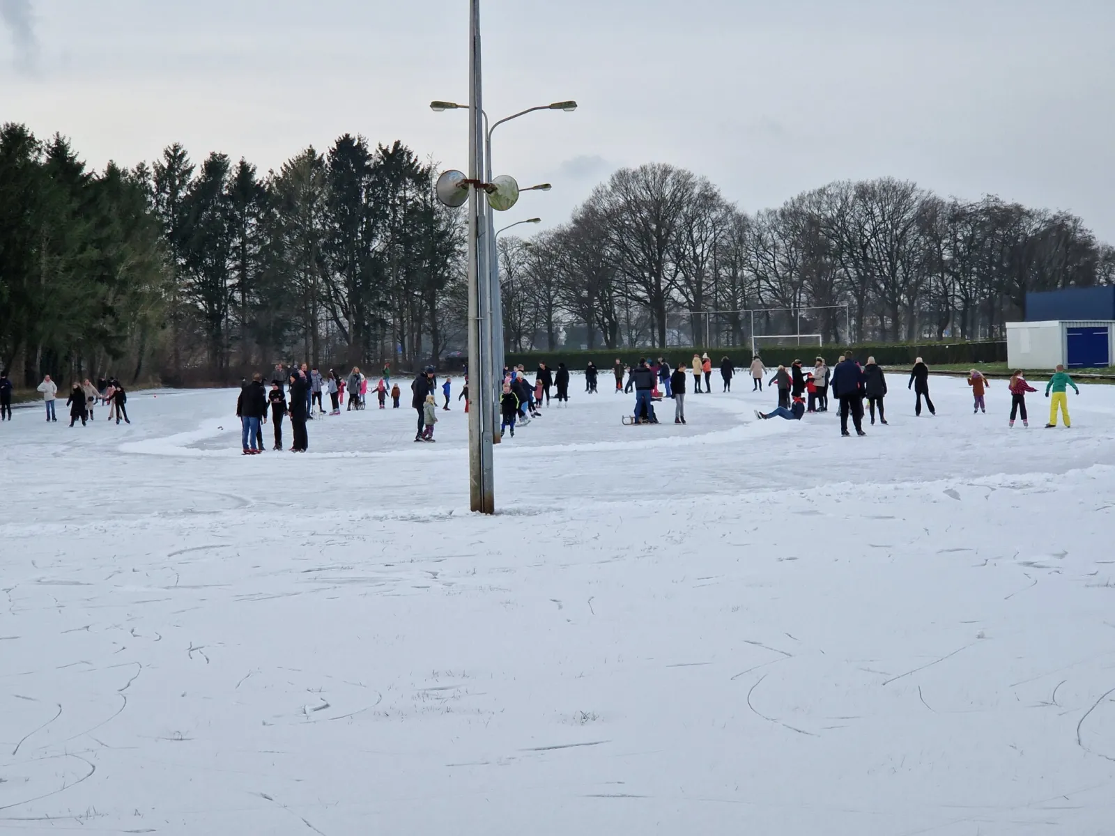Skaters at a distance across the snow-dusted natural ice of the Coevorden rink on a grey winter day, with floodlight poles, pine woods and a blue sports hall behind. — IJsbaan Hou Streek (Coevorden)
