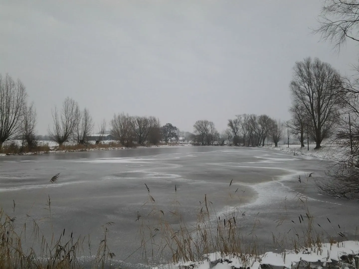 The frozen ice track at Zalk. — IJsbaan Zalk (IJsclub Nooitgedacht Zalk)