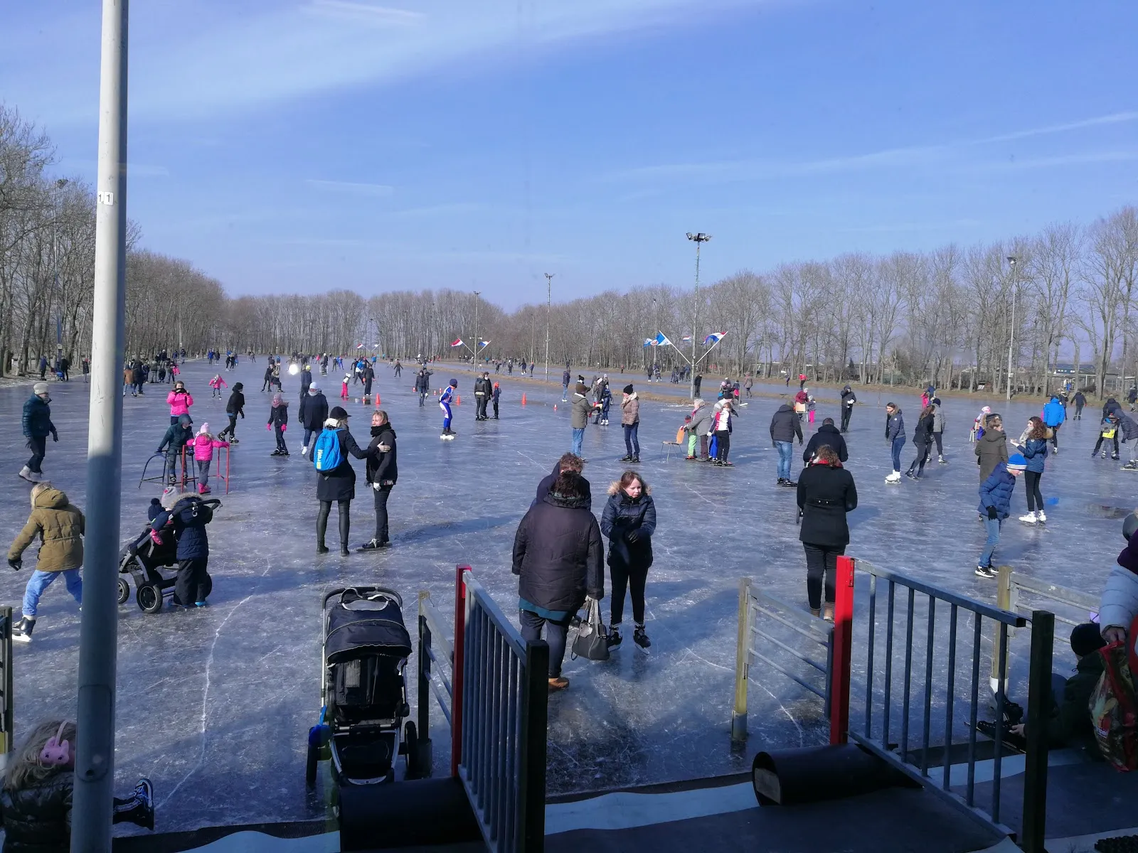 Een drukte van schaatsers en gezinnen verspreid over de bevroren natuurijsbaan van Assendelft op een zonnige winterdag, met kale bomen en lichtmasten langs de rand. – IJsvereniging Assendelft