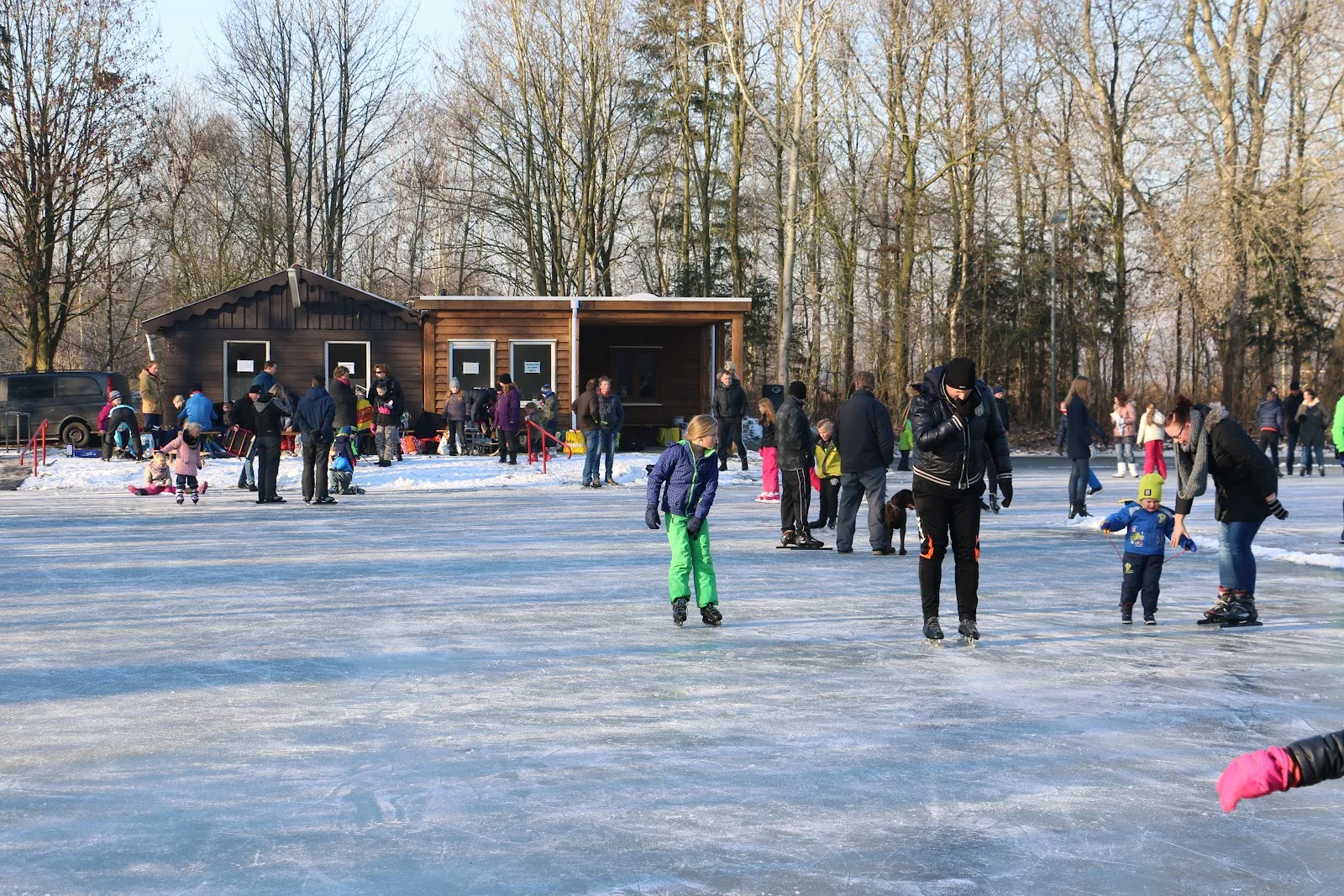 Gezinnen en kinderen schaatsen op het open ijs voor het clubgebouw, met kale bomen erachter. – IJsvereniging Bargeroosterveen