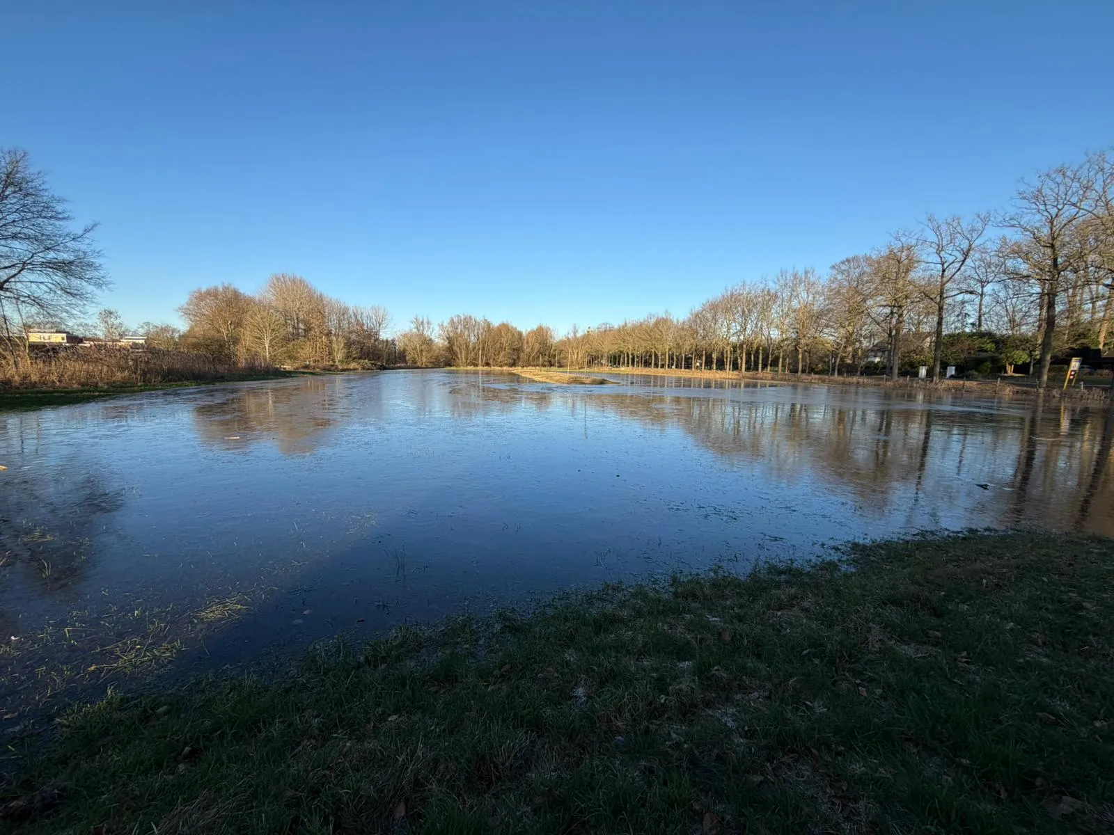 The flooded rink field of De Nieënhof on a bright day in December 2025, a wide sheet of water and thin ice with a grass bank in front and rows of bare trees behind. — IJsbaan De Nieënhof (IJsvereniging De Nieënhof, Bunnik)