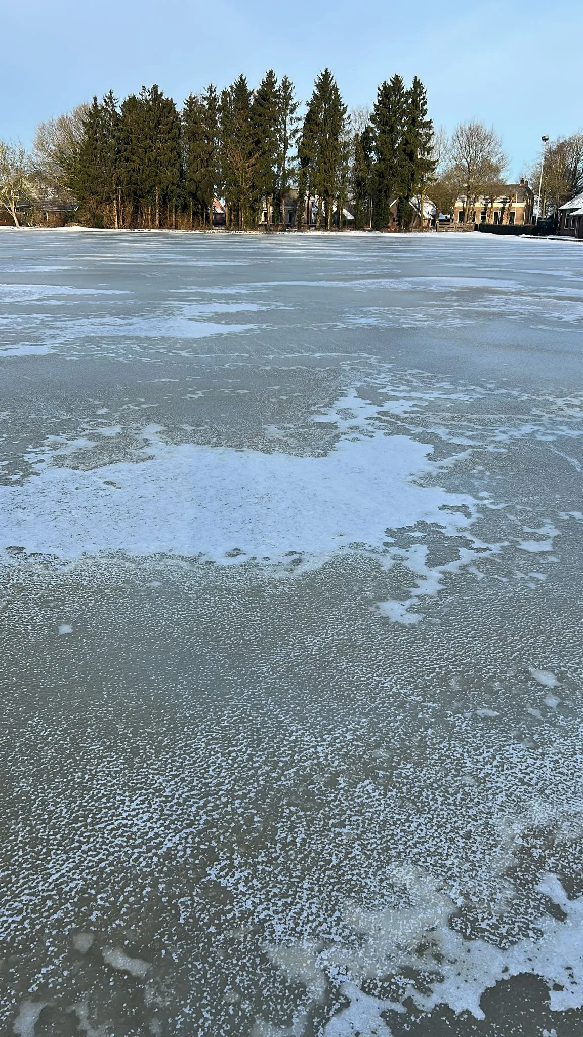 The large natural-ice rink at Dedemsvaart on 11 January 2026, a wet grey ice sheet with slushy white patches and a line of dark trees and a few houses along the far edge under a pale blue sky. — IJsbaan Dedemsvaart (IJsvereniging Sluis 6-7)